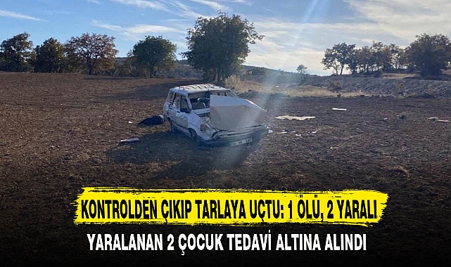 KONTROLDEN ÇIKIP TARLAYA UÇTU: 1 ÖLÜ, 2 YARALI