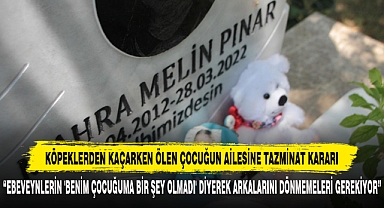 Köpeklerden Kaçarken Ölen Çocuğun Ailesine Tazminat Kararı