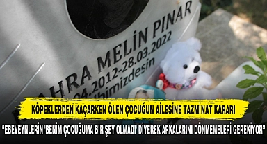 Köpeklerden Kaçarken Ölen Çocuğun Ailesine Tazminat Kararı