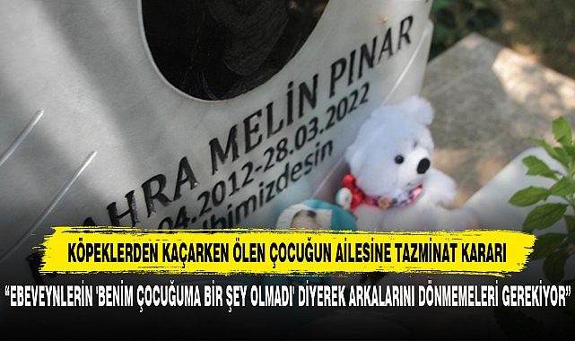 Köpeklerden Kaçarken Ölen Çocuğun Ailesine Tazminat Kararı
