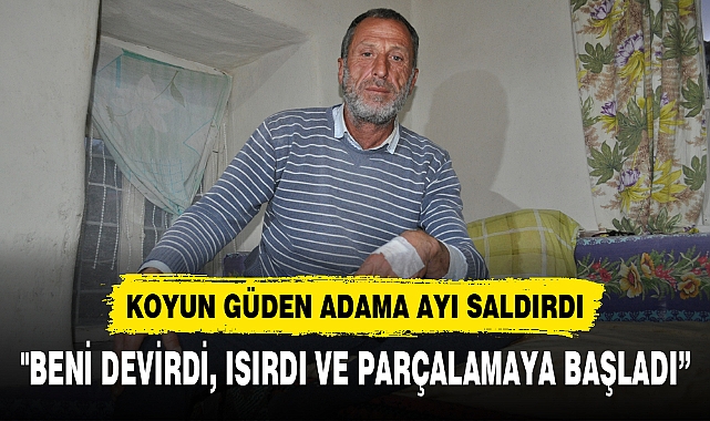 KOYUN GÜDEN ADAMA AYI SALDIRDI