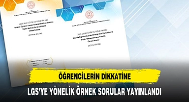 MEB, LGS'ye yönelik örnek soruları yayımladı