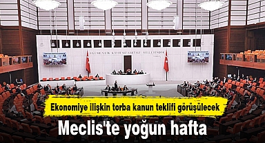 Meclis'te yoğun hafta