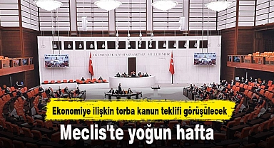Meclis'te yoğun hafta