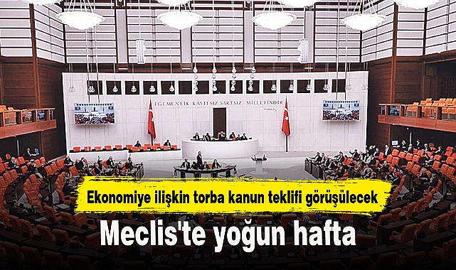 Meclis'te yoğun hafta