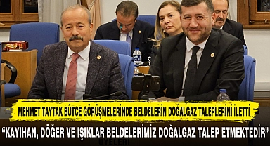 Mehmet Taytak Bütçe Görüşmelerinde Beldelerin Doğalgaz Taleplerini İletti