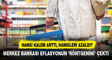 MERKEZ BANKASI ENFLASYONUN 'RÖNTGENİNİ' ÇEKTİ
