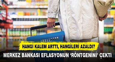 MERKEZ BANKASI ENFLASYONUN 'RÖNTGENİNİ' ÇEKTİ