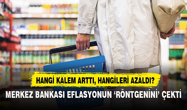 MERKEZ BANKASI ENFLASYONUN 'RÖNTGENİNİ' ÇEKTİ