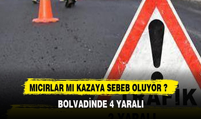 MICIRLAR MI KAZAYA NEDEN OLUYOR ?