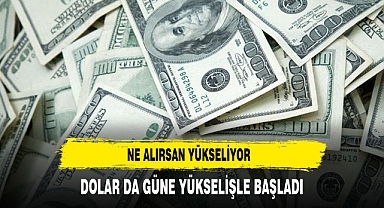 Ne alırsan yükseliyor