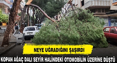 NEYE UĞRADIĞINI ŞAŞIRDI