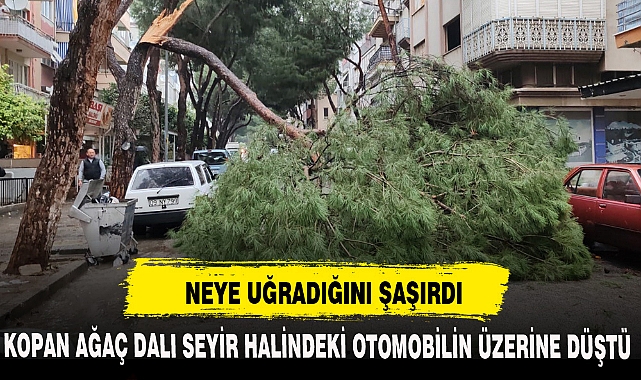 NEYE UĞRADIĞINI ŞAŞIRDI