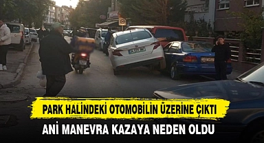 Park Halindeki Otomobilin Üzerine Çıktı