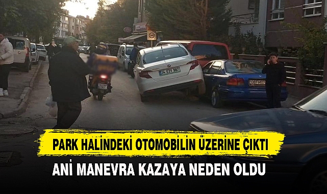 Park Halindeki Otomobilin Üzerine Çıktı