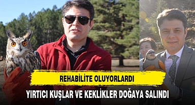 REHABİLİTE OLDUKTAN SONRA ÖZGÜRLÜĞE UÇTULAR