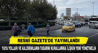 Resmi Gazete'de Yayımlandı