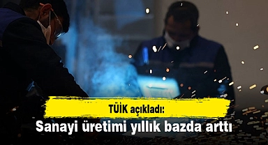Sanayi üretimi yıllık bazda yüzde 4 arttı
