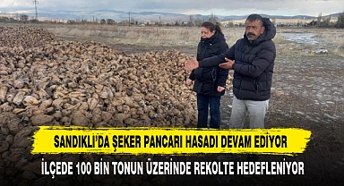 Sandıklı’da Şeker Pancarı Hasadı Devam Ediyor