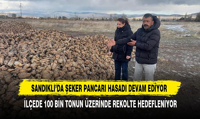Sandıklı’da Şeker Pancarı Hasadı Devam Ediyor