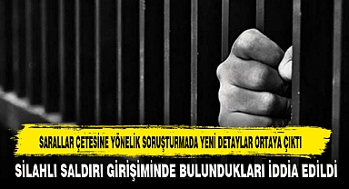 SARALLAR ÇETESİNE YÖNELİK SORUŞTURMADA YENİ DETAYLAR ORTAYA ÇIKTI