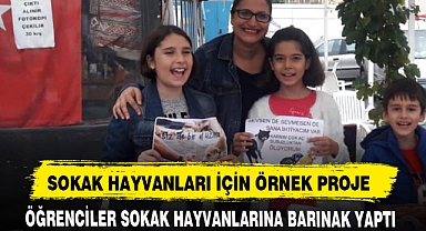 SOKAK HAYVANLARI İÇİN ÖRNEK PROJE