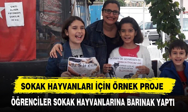 SOKAK HAYVANLARI İÇİN ÖRNEK PROJE