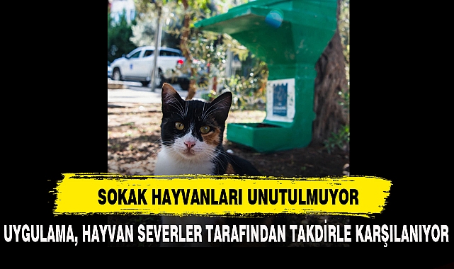 SOKAK HAYVANLARI UNUTULMUYOR