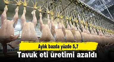 Tavuk eti üretimi azaldı
