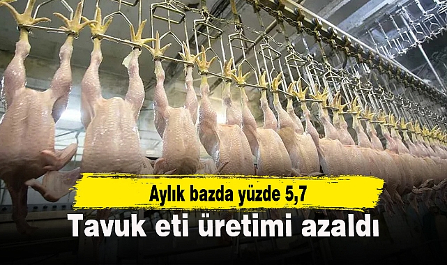 Tavuk eti üretimi azaldı