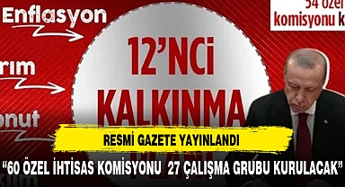 TBMM'de onaylanan 12. Kalkınma Planı Resmi Gazete'de yayımlandı