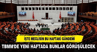 TBMM'DE YENİ HAFTADA BUNLAR GÖRÜŞÜLECEK