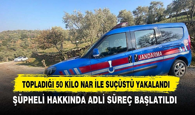 TOPLADIĞI 50 KİLO NAR İLE SUÇÜSTÜ YAKALANDI