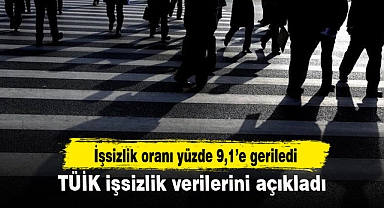 TÜİK işsizlik verilerini açıkladı