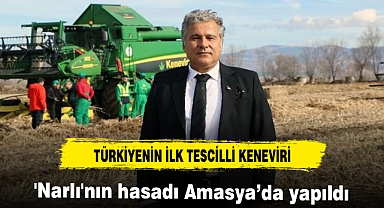 Türkiye’nin ilk tescilli kenevirinde hasat zamanı