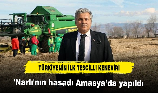 Türkiye’nin ilk tescilli kenevirinde hasat zamanı