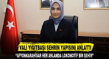VALİ YİĞİTBAŞI ŞEHRİN YAPISINI ANLATTI