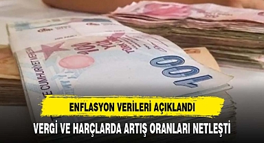 Vergi ve harçlarda artış oranı netleşti: