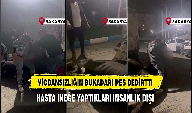 VİCDANSIZLIĞIN BUKADARI PES DEDİRTTİ