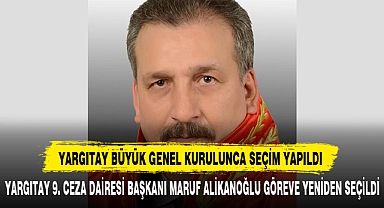 Yargıtay 9. Ceza Dairesi Başkanı Maruf Alikanoğlu Göreve Yeniden Seçildi