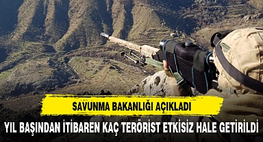 YILBAŞINDAN BU GÜNE KAÇ TERÖRİST ETKİSİZ HALE GETİRİLDİ