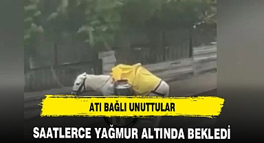 Yol kenarına bağlanarak terk edilen at sağanak yağış sonrası mahsur kaldı