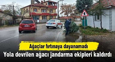Yola devrilen ağacı jandarma ekipleri kaldırdı
