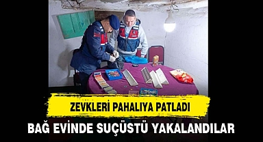 ZEVKLERİ PAHALIYA PATLADI