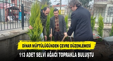 113 ADET SELVİ AĞACI TOPRAKLA BULUŞTU