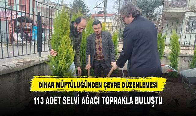113 ADET SELVİ AĞACI TOPRAKLA BULUŞTU