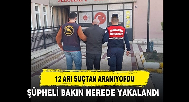12 ARI SUÇTAN ARANIYORDU