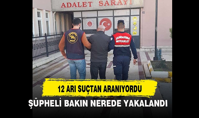 12 ARI SUÇTAN ARANIYORDU