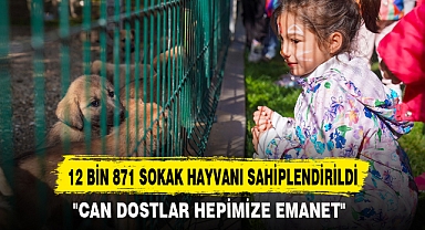 12 BİN 871 SOKAK HAYVANI SAHİPLENDİRİLDİ