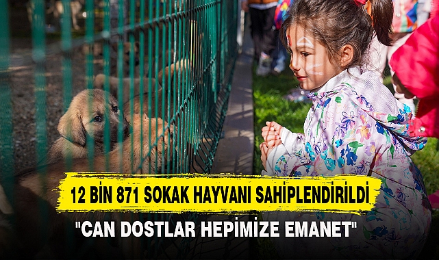 12 BİN 871 SOKAK HAYVANI SAHİPLENDİRİLDİ